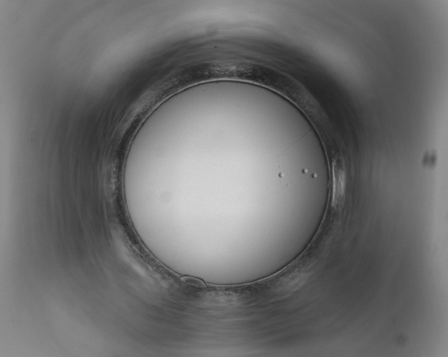 X0000110670435200906261300