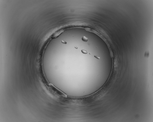 X0000110670436200906261301