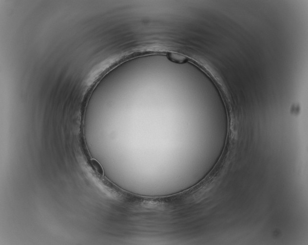 X0000110670437200906261301