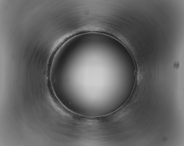 X0000110670438200906261301