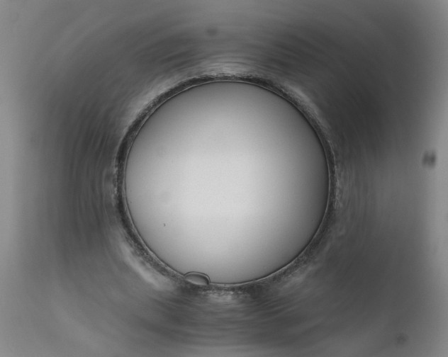 X0000110670439200906261301