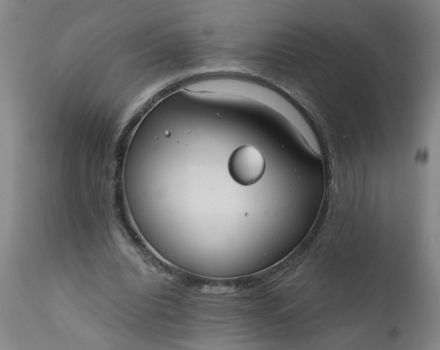 X0000110670440200906261301