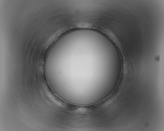 X0000110670441200906261301