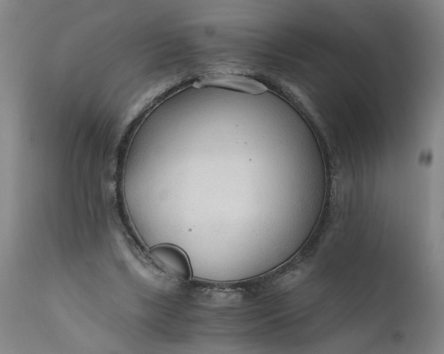 X0000110670443200906261301