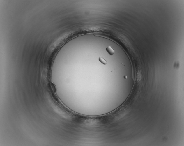 X0000110670444200906261301