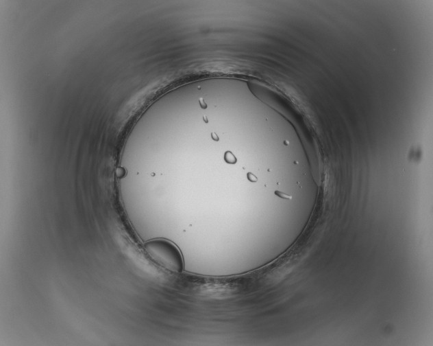 X0000110670445200906261301