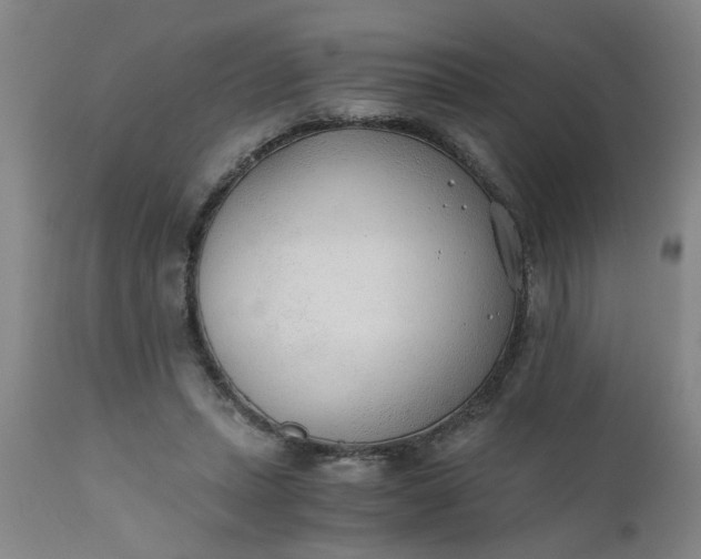 X0000110670447200906261301