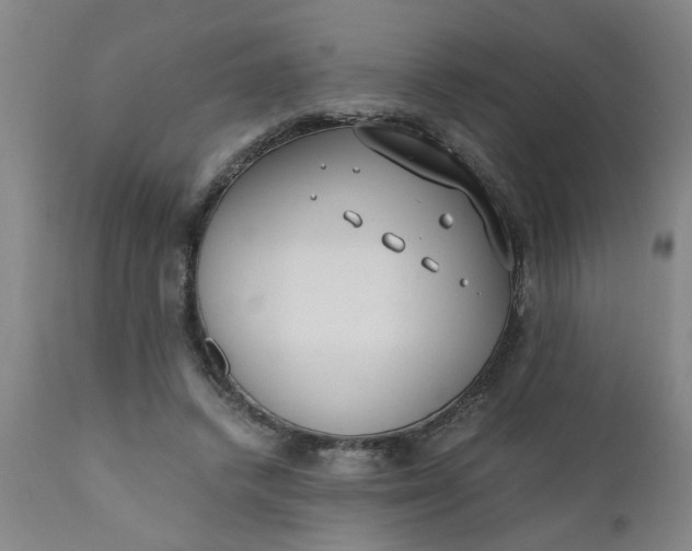 X0000110670448200906261301