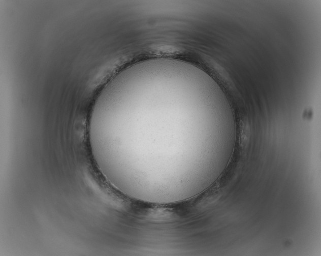 X0000110670451200906261301