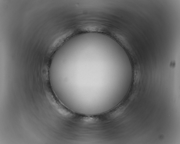 X0000110670453200906261301