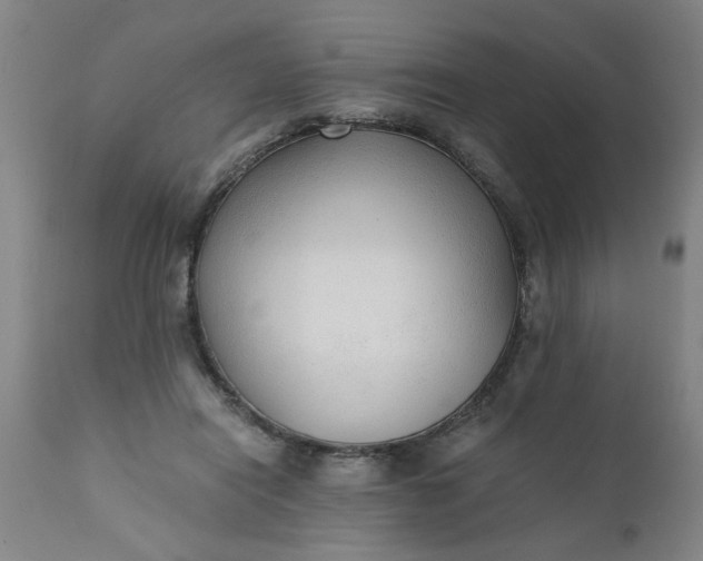 X0000110670454200906261301