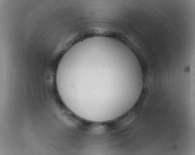 X0000110670456200906261301