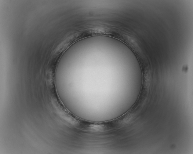 X0000110670457200906261301