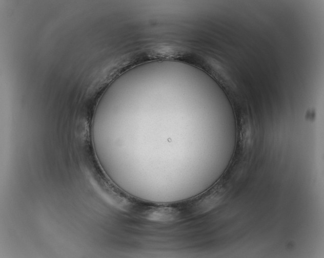 X0000110670459200906261301