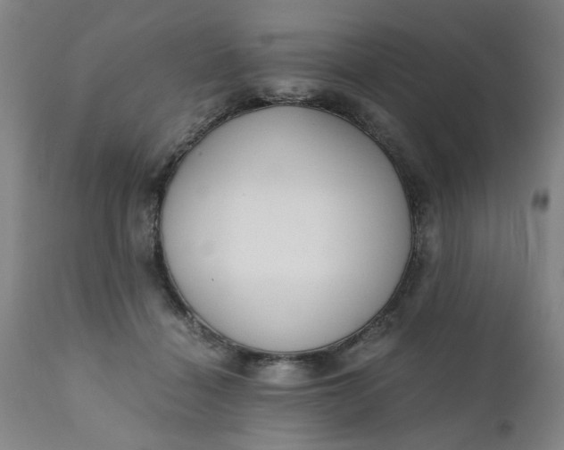 X0000110670460200906261301