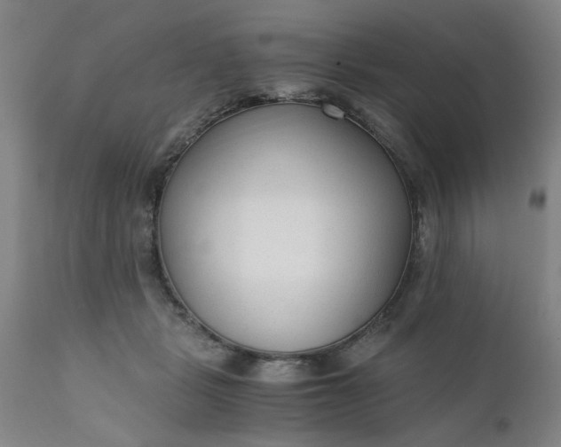 X0000110670461200906261301