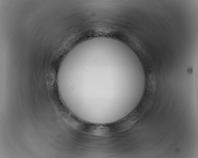 X0000110670463200906261301