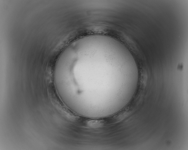 X0000110670465200906261301