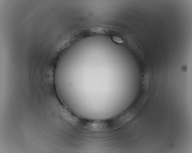 X0000110670466200906261301