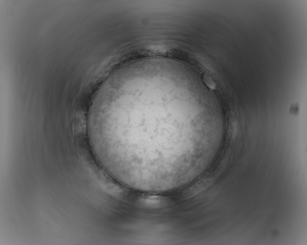X0000110670467200906261301