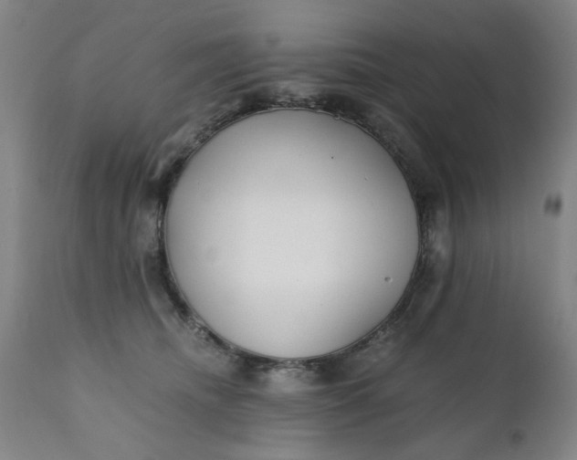 X0000110670468200906261301