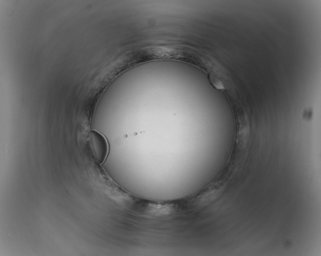 X0000110670469200906261301