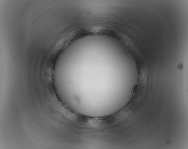 X0000110670470200906261301