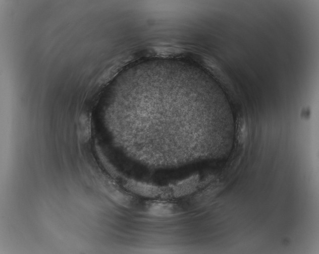X0000110670471200906261301
