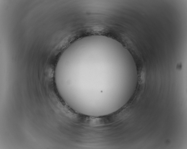 X0000110670472200906261301