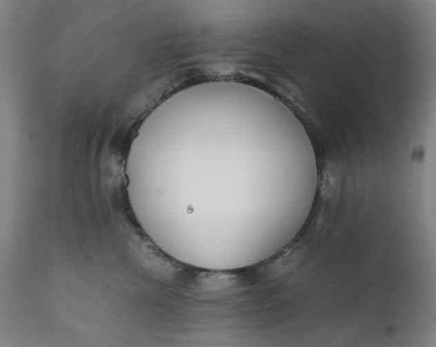 X0000110670476200906261301