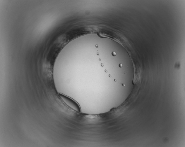 X0000110670477200906261301