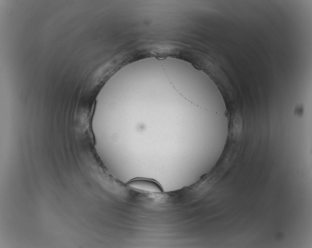 X0000110670478200906261301