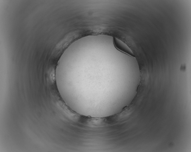 X0000110670479200906261301