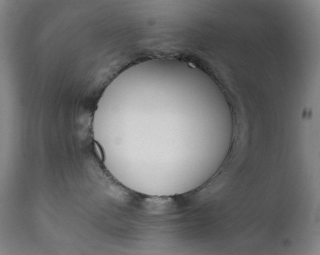 X0000110670480200906261301