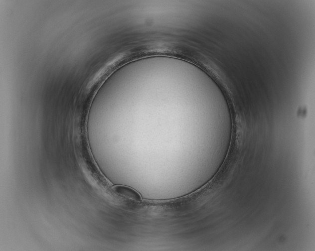 X0000110670482200906261300