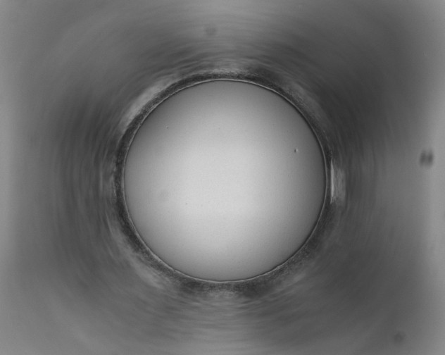 X0000110670483200906261300