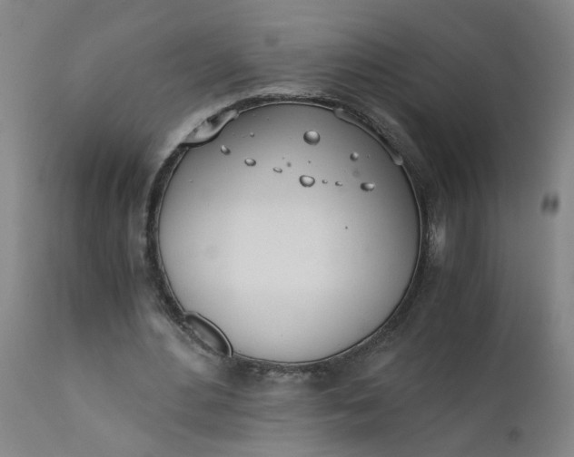 X0000110670484200906261300