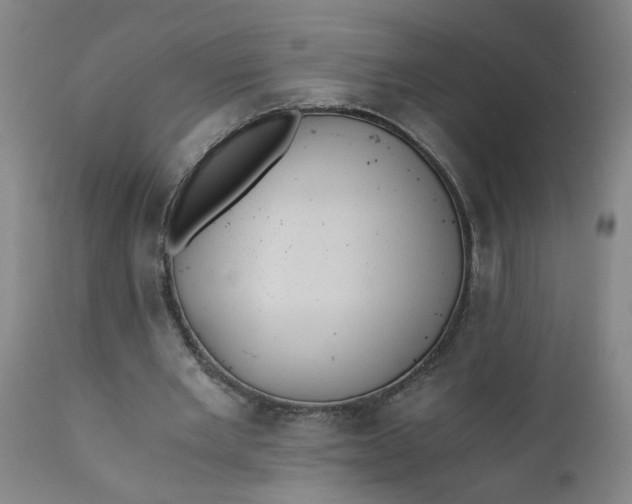 X0000110670485200906261300