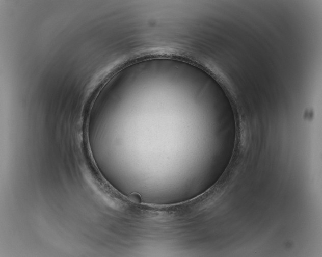 X0000110670486200906261300