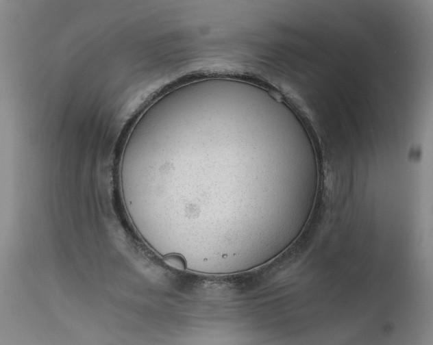X0000110670487200906261300