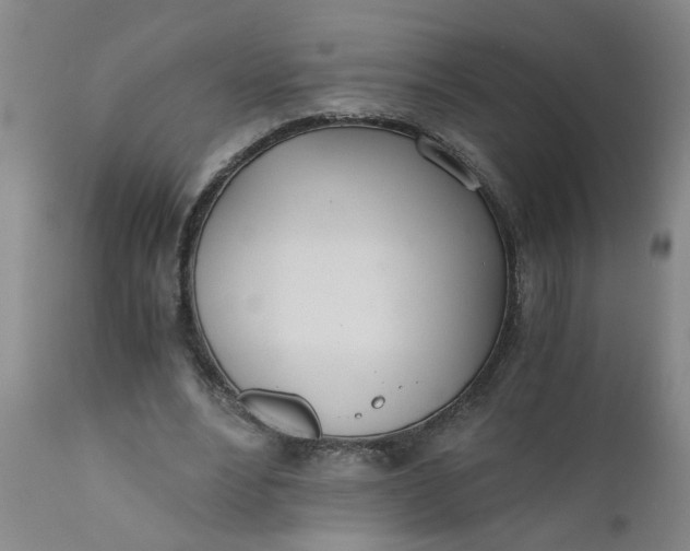 X0000110670488200906261300