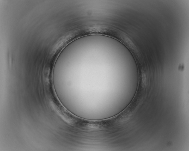 X0000110670490200906261300