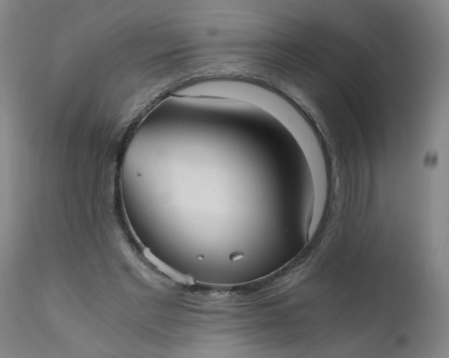 X0000110670493200906261300