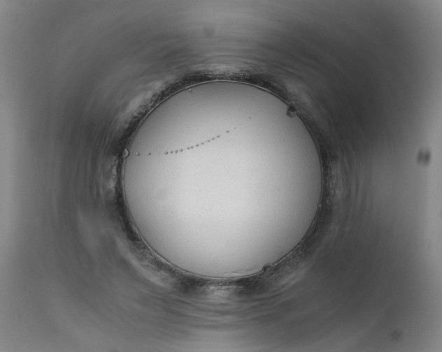 X0000110670495200906261300