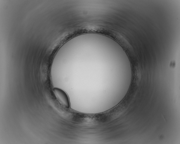X0000110670496200906261300