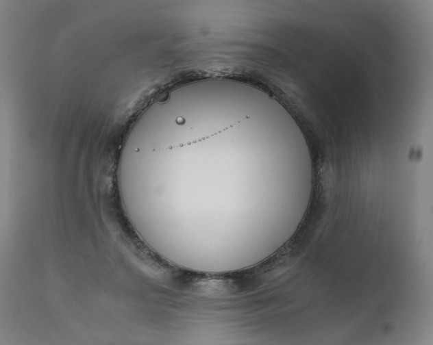 X0000110670499200906261300