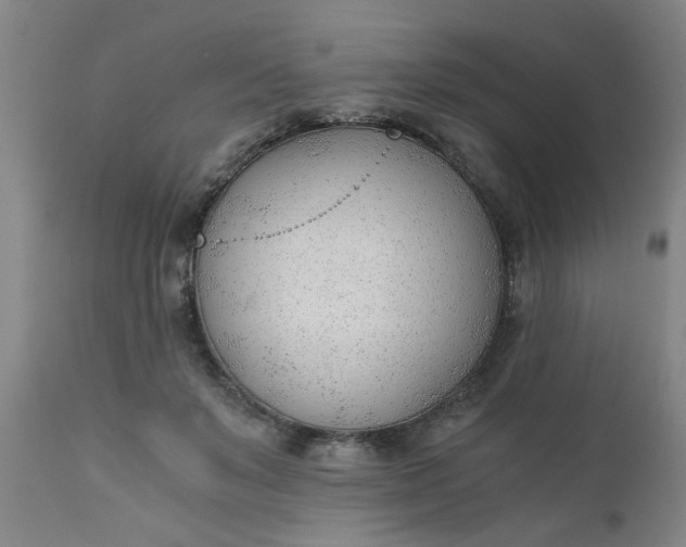 X0000110670503200906261300