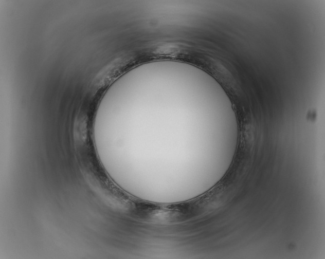 X0000110670504200906261300