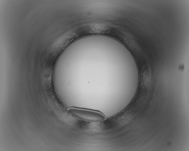 X0000110670505200906261300