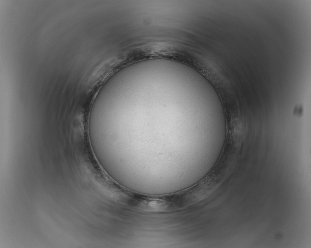 X0000110670506200906261300